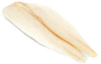 Greenland Halibut fillet 1+kg trim C/D vac frozen skinon - Click Image to Close